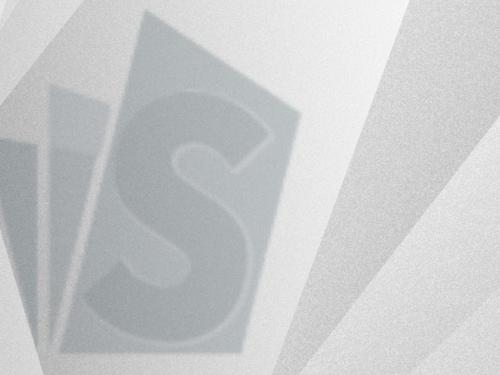 Akıl Fenomeni ve Bilge Tilki